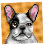 Orchidea Hímzés. Az Első Hímzésem Bulldog (6764)