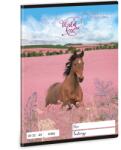 Ars Una Wild and Free A/5 sima füzet 20-32 (53613592) - grapa