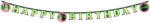  Wicked For Good Happy Birthday felirat 200 cm FSC (PNN98291) - eking