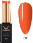Everin Oja semipermanenta Everin- Brilliance Collection 100 - OSEBC-100 - Everin. ro (OSEBC-100)