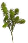  Buchet 5 crengute brad artificial pentru aranjamente florale (8584)