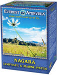 Everest Ayurveda Everest Ayurveda Limfatikus rendszer tea - 100g - delfinbuvar