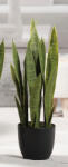 AdTrend Planta artificiala in ghiveci 68 cm (57650)