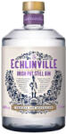  Echlinville gin DRS (0, 5L/ 46%) - whiskynet