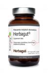 Kenay Herbagut® - a mixture of Indian extracts (60 caps)
