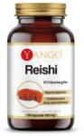 Yango Reishi (90 caps)