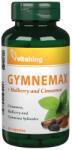 Vitaking Gymnemax + Mulberry and Cinnamon 750 mg (60 Capsules)