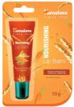Himalaya Balsam de buze hrănitor - 10g