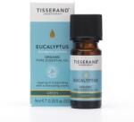 Tisserand Eucalyptus Globulus Organic (9 ml / 0, 3 fl. oz. )