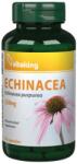 Vitaking Echinacea Purpurea 250 mg (90 Capsules)