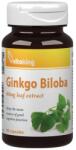 Vitaking Ginkgo Biloba 60mg Leaf Extract (90 Capsules)