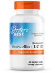 Doctor's Best Boswellia cu UC-II - 60 capsule