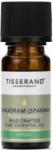 Tisserand Marjoram (Spanish) Thymus Mastichina Wild Crafted (9 ml / 0, 3 fl. oz. )