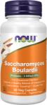 NOW Saccharomyces Boulardii - 60 capsule