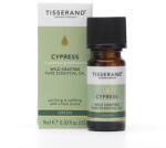 Tisserand Cypress Cupressus Sempervirens Wild Crafted (9 ml / 0, 3 fl. oz. )