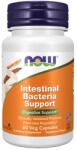 NOW Intestinal Bacteria Support - 60 vcaps