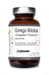 Kenay Ginkgo Biloba contains Ginkgoselect PLUS Phytosome (60 caps)