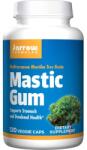 Jarrow Formulas Gumă de Mastic - 120 capsule