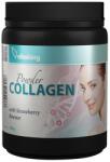 Vitaking Collagen Powder (330 g, Strawberry Pouch)