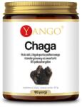 Yango Chaga extract - 10% polysaccharides (50 g)