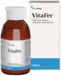 Vitaking Vitafer Iron Syrup (120 ml)