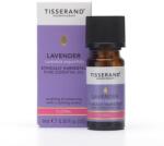 Tisserand Lavender Lavandula Angustifolia Ethically Harvested (9 ml / 0, 3 fl. oz. )