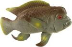 Rappa Figurină Rappa - Ciclide de pești tropicali, 24 cm (380118-1) Figurina