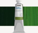 Lukas Berlin Маслена боя Sap Green 200 ml 1 бр (<![CDATA[6650014]]>)