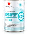 Disugual Disugual Karma nedves kutyaeledel, állatorvosi RECOVERY Sola (felnőtt) 400 g
