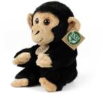 Rappa Maimuță de pluș șimpanză așezată 18 cm ECO-FRIENDLY (RP211087)