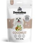 Pet's Dessert Recompense pentru caini Pet s Dessert Dentaline Sticks Coconut 120 gr