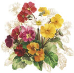 POL-MAK Virág Vintage Primrose szalvéta 20 db-os 33x33 cm PKK770837 (PKK770837)