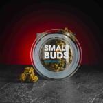 Kratom World CBD Small Buds 20% 5g