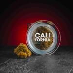Kratom World California CBG 14% 10g