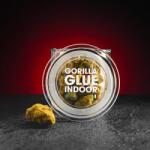 Kratom World CBD Indoor Gorilla Glue 15% 10g