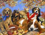 NORIMPEX - Puzzle Tablou Diamant: Câinii se joacă cu o minge. 30x40cm - 1 - 39 piese