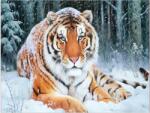 NORIMPEX - Puzzle Tablou Diamant: Tigru întins în zăpadă 30x40cm - 1 - 39 piese