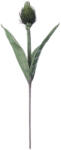 Bizzotto Set 3 flori artificiale verzi Pitaya 30x89h (0172567X)