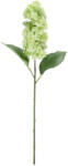 Bizzotto Set 3 Hortensii artificiale verzi Ø22x64h (0173070X)
