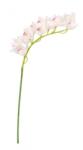 Bizzotto Set 3 Orhidee artificiale 21x10x104 cm (0170681X)