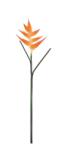 Bizzotto Set 3 plante artificiale verzi portocalii 86 cm (0170672X)