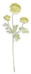 Bizzotto Set 3 flori artificiale Ranunculus verde 61 cm (0171325X)