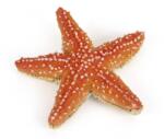 Papo Figurina stea de mare Papo, multicolor, pictata manual, 7 cm (Papo56050) Figurina