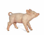 Papo Figurina purcica Papo realista, pictata manual, pentru copii 3+ (Papo51136) Figurina