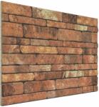 vidaXL Стенни панели 10 бр. 100 x 50 cm Кафяв и бял EPS пяна (42046094)