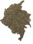 FRESSO Columbia Caldas cafea boabe verde de origine 250g