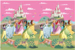  Disney Hercegnők Create Your World műanyag asztalterítő 120x180 cm (PNN97261) - aprotalpak