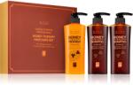 Daeng Gi Meo Ri Honey Therapy Professional Hair Care Set ajándékszett a táplálásért és hidratálásért