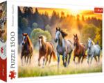 Trefl Puzzle Trefl 1500 piese cu cai salbatici, premium, multicolor (26215) Puzzle