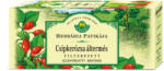 Herbária csipkerózsa áltermés tea 25x2, 5g 62 g - freefrom
